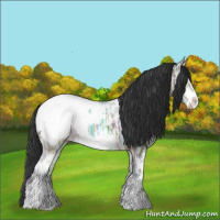 Horse Color:Brown Ice Sabino Appaloosa 