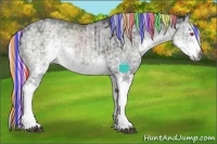 Horse Color:Painted White Spotted Silver Smoky Grullo Chinchilla Ice Brindle 