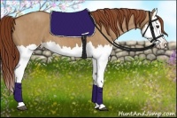 Horse Color:Red Dun Splash  Brindle