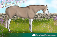 Horse Color:Liver Red Dun Splash  Brindle