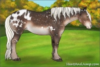 Horse Color:White Spotted Liver Chestnut Mushroom Sabino Blanket 