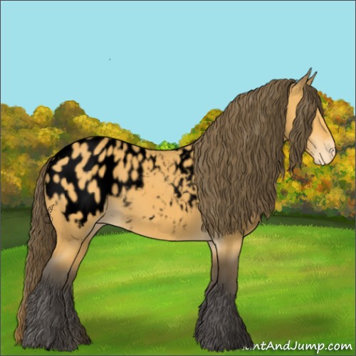 Horse Color:Void Buckskin Appaloosa 