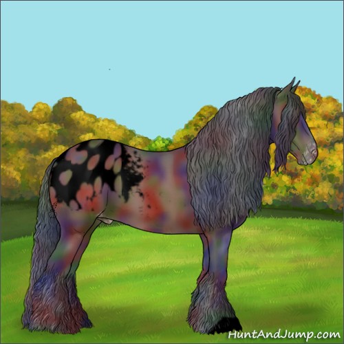 Horse Color:Void Nacre Brown Appaloosa 