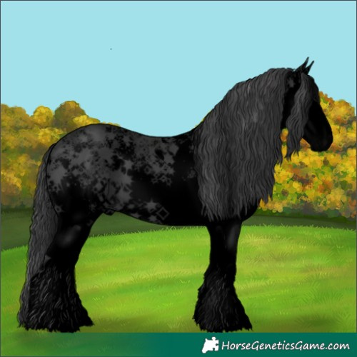 Horse Color:Void White Spotted Black 