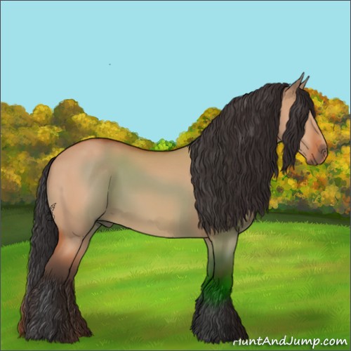 Horse Color:Bay Dun 