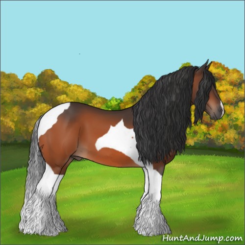 Horse Color:Bay Tobiano 