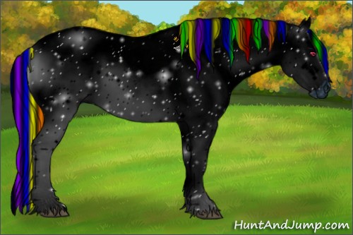 Horse Color:ERROR: UNKNOWN ANOMALY