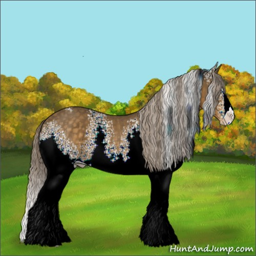 Horse Color:White Spotted Chocolate Palomino Sabino Appaloosa Rabicano