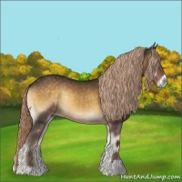 Horse Color:Chocolate Palomino Onyx Tobiano 