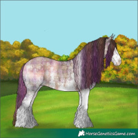 Horse Color:Plaid  White Spotted Liver Chestnut Ice 