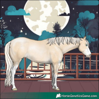 Horse Color:Silver Smoky Grullo Pearl Sabino Rabicano 