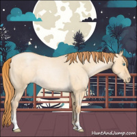 Horse Color:Buckskin Roan Pearl Dun Sabino Rabicano 
