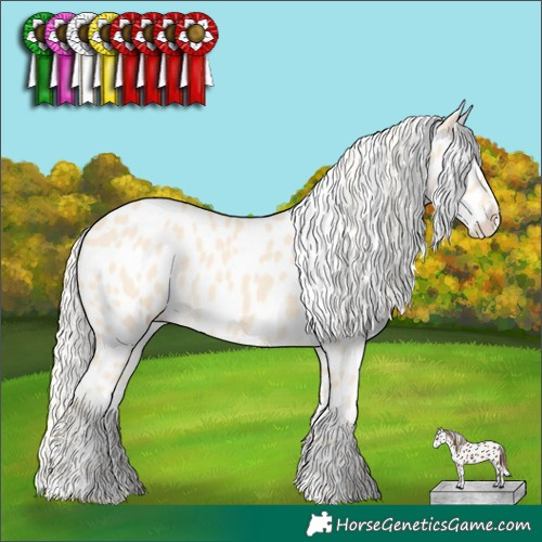 Horse Color:Cremello Appaloosa 