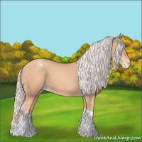 Horse Color:Silver Amber Champagne Tobiano Appaloosa Rabicano 