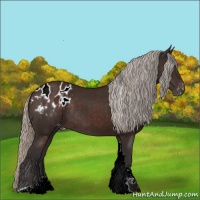 Horse Color:Silver Brown Tobiano Blanket Rabicano 