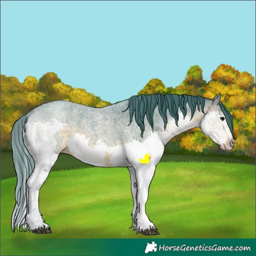 Horse Color:Watercolor White Spotted Buckskin Roan Splash 