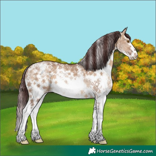 Horse Color:Chocolate Brown Dun Sabino 