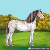 Horse Color:Chocolate Brown Dun Sabino 