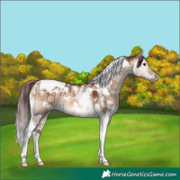 Horse Color:White Spotted Chocolate Brown Dun Tobiano Brindle 
