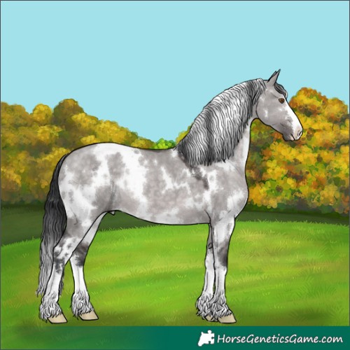 Horse Color:Platinum White Spotted Brown Dun 