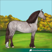 Horse Color:Platinum Chocolate Brown Dun 