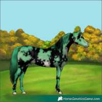 Horse Color:Void Watercolor White Spotted Brown Dun Brindle