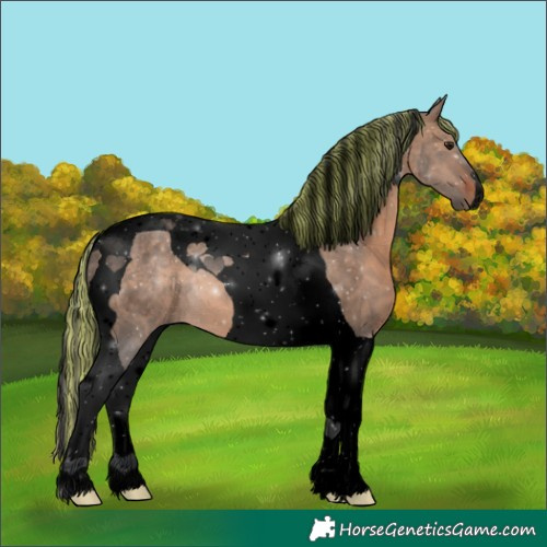 Horse Color:Void Painted Brown Dun Tobiano