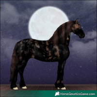 Horse Color:Void Chocolate Brown Dun Sabino 