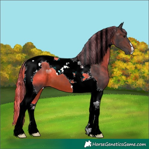 Horse Color:Painted Brown Tobiano 