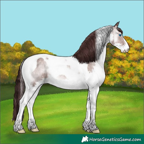 Horse Color:Platinum Chocolate Brown Onyx Splash Tobiano 