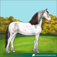 Horse Color:Platinum Chocolate Brown Onyx Splash Tobiano