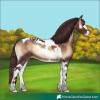Horse Color:Chocolate Brown Onyx Tobiano 