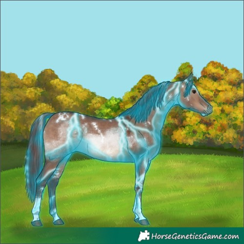 Horse Color:Thunderstruck White Spotted Chocolate Brown Dun Tobiano 