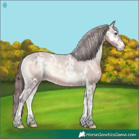 Horse Color:White Spotted Chocolate Brown Onyx Varnish