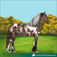 Horse Color:White Spotted Chocolate Brown Ice Dun 