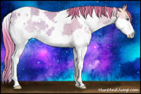 Horse Color:Watercolor White Spotted Gold Champagne Ice Splash Appaloosa 