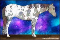Horse Color:Nacre White Spotted Liver Chestnut Ice Appaloosa 