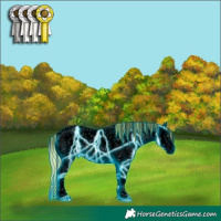 Horse Color:Void Platinum Painted Thunderstruck Midnight Cremello Ice Onyx Appaloosa 