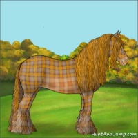 Horse Color:Plaid  Chestnut Varnish 