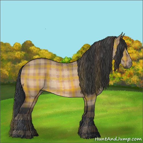 Horse Color:Plaid  Bay Dun 