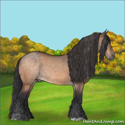 Horse Color:Brown Dun 