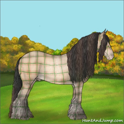 Horse Color:Plaid  Amber Champagne 