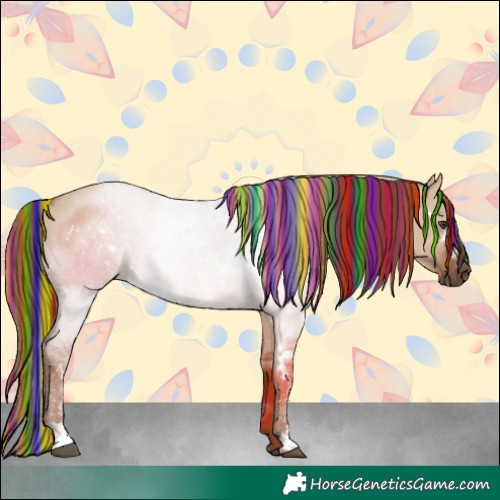 Horse Color:Painted White Spotted Red Dun 