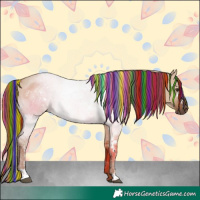 Horse Color:Painted White Spotted Red Dun 