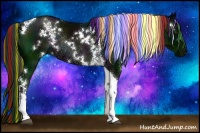 Horse Color:Painted White Spotted Midnight Liver Chestnut Tobiano Rabicano 