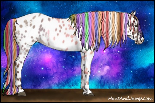 Horse Color:Painted White Spotted Liver Red Dun Leopard Rabicano