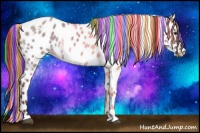 Horse Color:Painted White Spotted Liver Red Dun Leopard Rabicano 