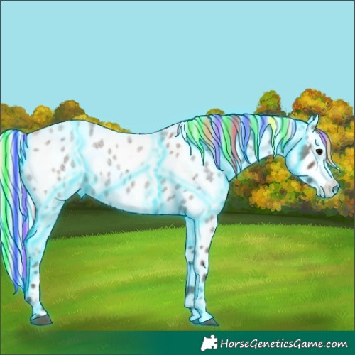 Horse Color:Painted Thunderstruck Silver Blue Roan Appaloosa Rabicano 