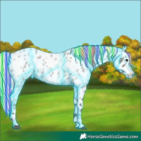 Horse Color:Painted Thunderstruck Silver Blue Roan Appaloosa Rabicano 