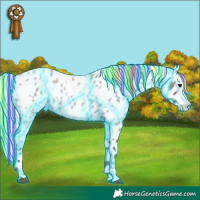 Horse Color:Painted Thunderstruck Silver Blue Roan Appaloosa Rabicano 